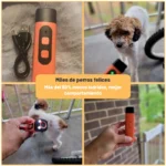 maestro de la calma pro